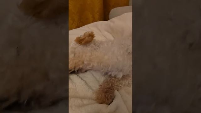 Жизнь удалась...