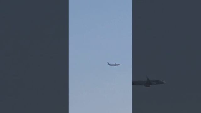 Прбимммоло