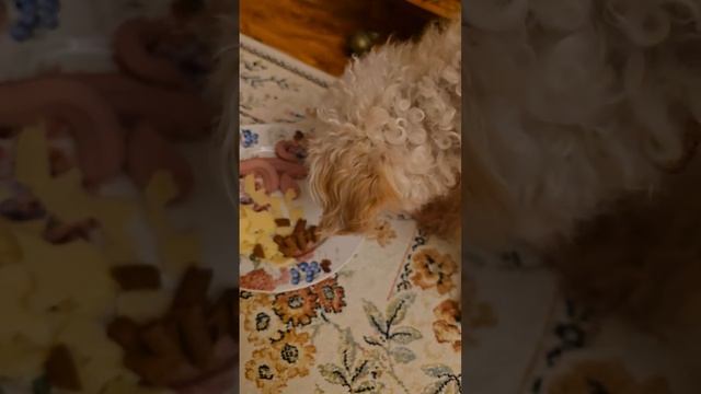 Сашка не мешай,дай похряпать...