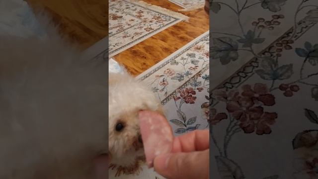 подайте нищему на пропитание...