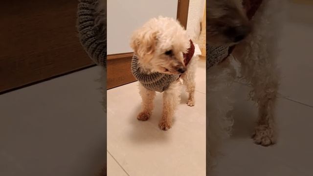 Не жизнь, а малина...