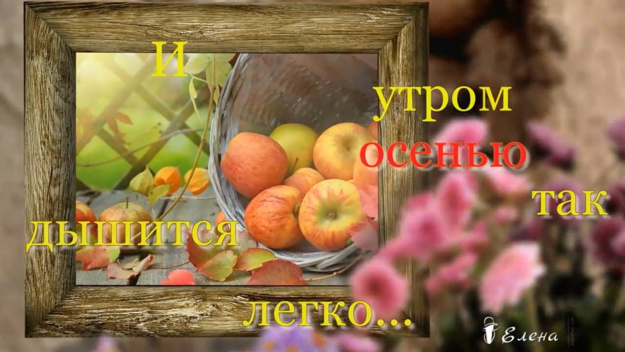 И утром осенью так дышится легко  *