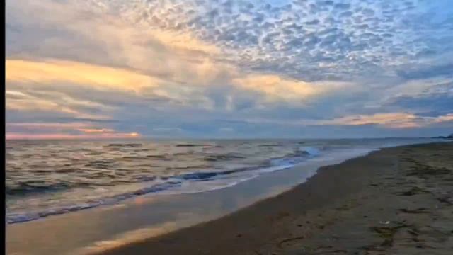 море закат #junglerastafari