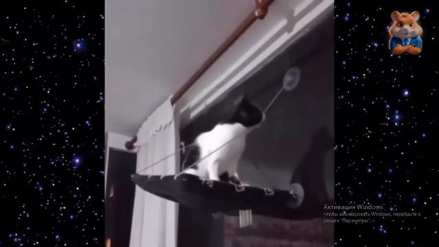 прикольчики