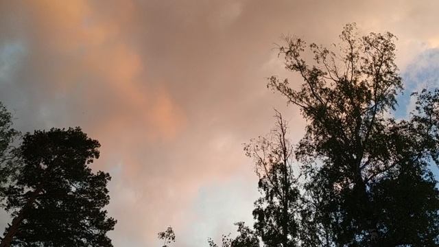 розовое инопланетное небо