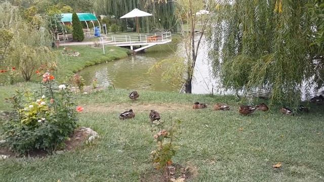 Восемь Озер