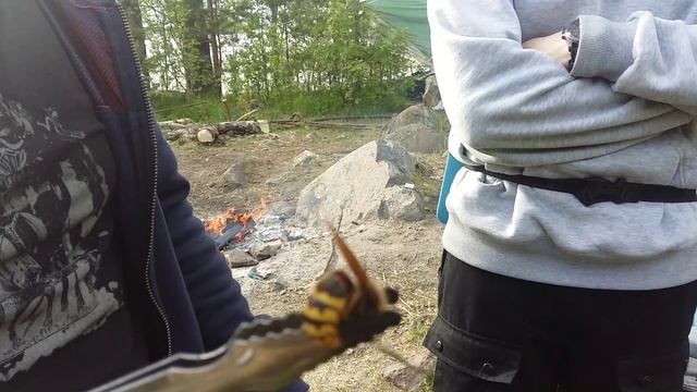 20170611_Шершень