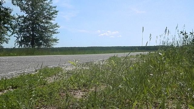 Мой кавасаки