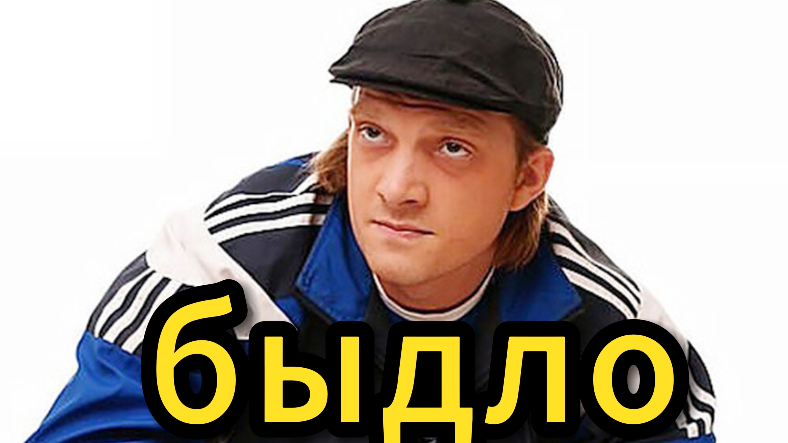 Свиньи в городе.