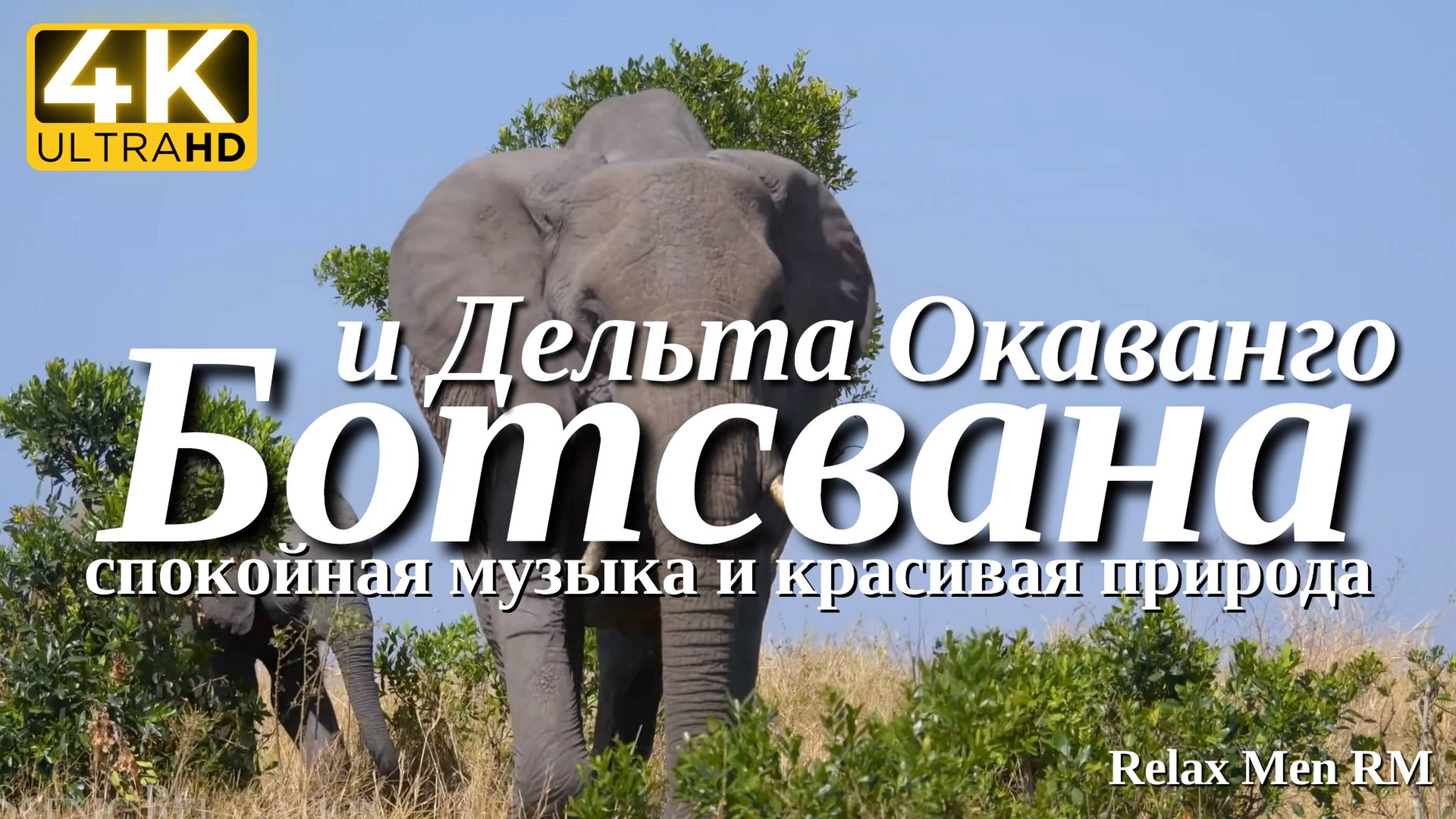 4К Ботсвана и Дельта Окаванго - Красивая природа и спокойная африканская музыка