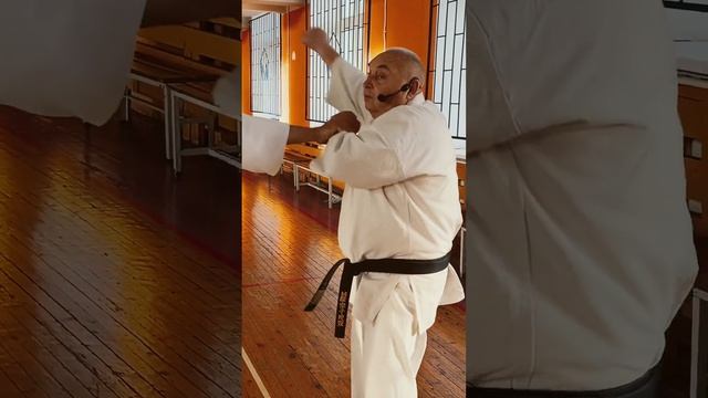 Кёкусинкай / Сихан Танюшкин / Пинан соно ни / Бункай (ноябрь 2024) #7