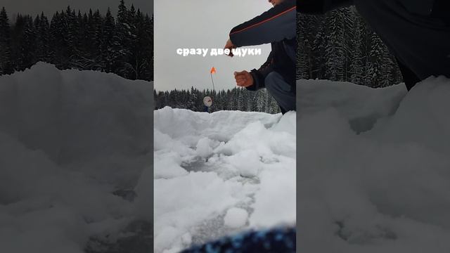 Щучий жор начался и мы этому рады