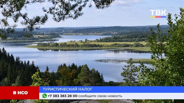 Программа "Дайджест" 05-11-24