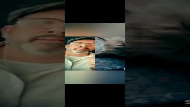 Hard to say I'm sorry✨Chicago✨Cover Dave & Yulia✨ И кот-мурлыка на бэках✨