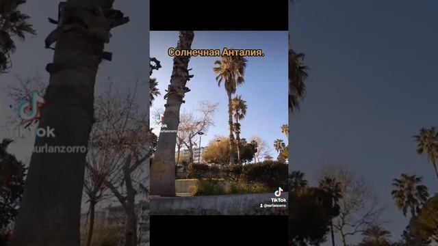 Турция Анталия