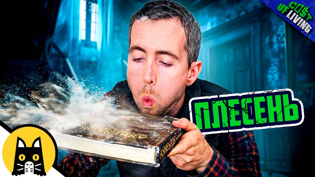 Откуда берется плесень в квартире