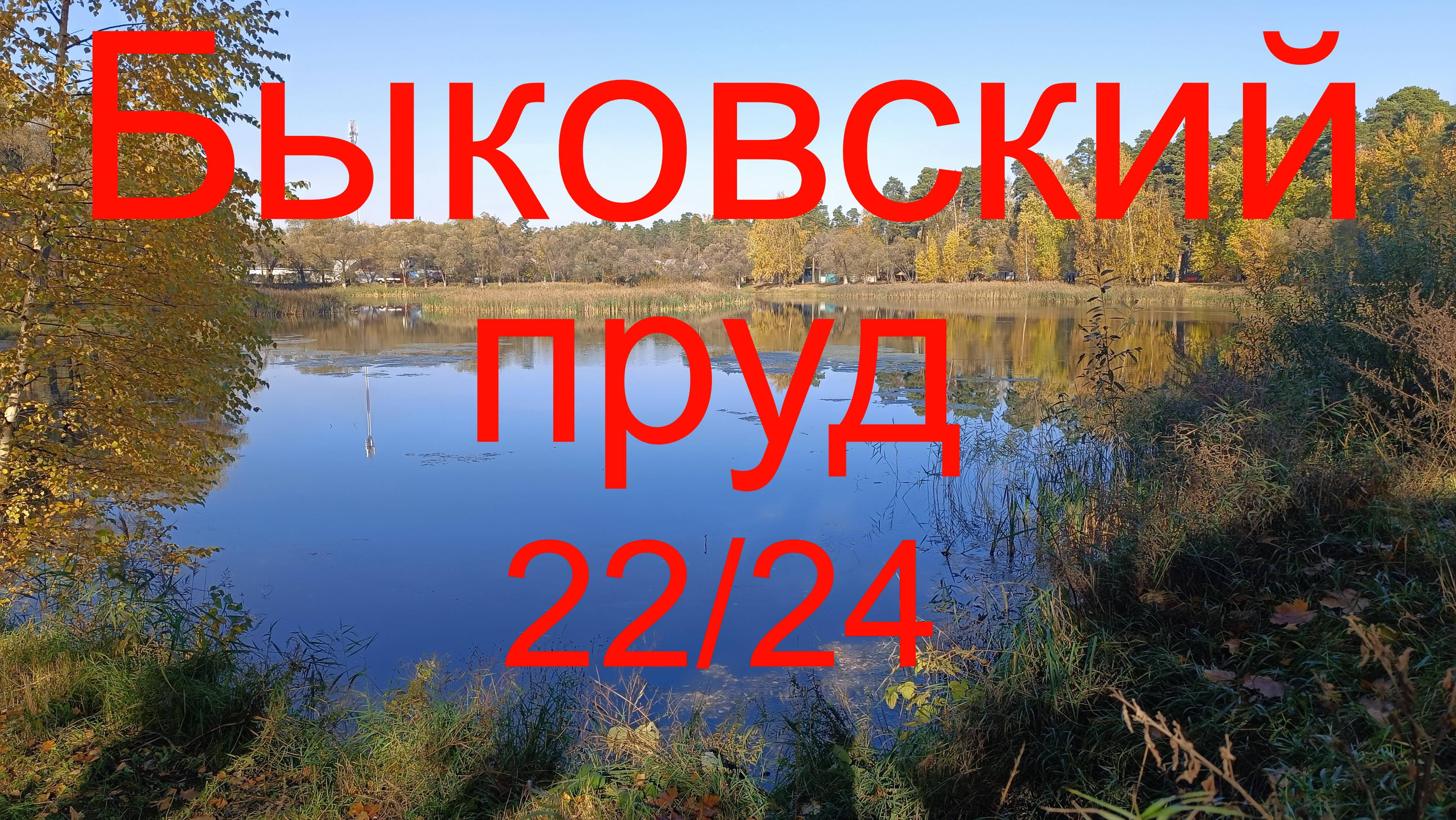 Быковский пруд 22/24 ."Тайна" Маленковского пруда.  21.10.2024.