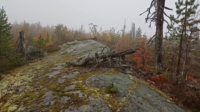 день 2 Воттоваара (2024г.)