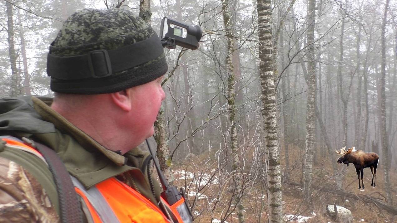 Охота на лося и медведя в тайге с лайками. Отличное начало Moose and bear hunting in the taiga with