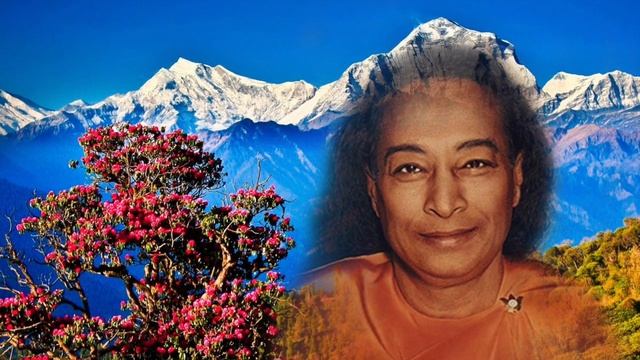 Созерцая Единого во всём. Часть 1. Парамханса Йогананда