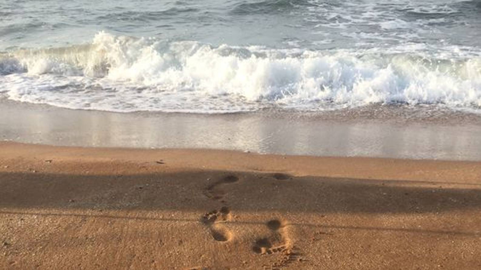 МОРЕ, НЕ ПОКИДАЙ МЕНЯ НИКОГДА... Серия авторских Видео фотоПейзажей #ДеньЧёрногоморя 31.10.2024