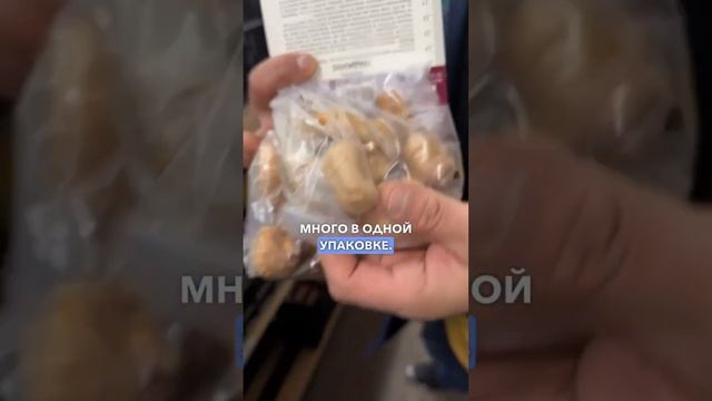 Обзор ассортимента луковичных растений 2024. Красивые и лучшие сорта георгинов, гладиолусов.