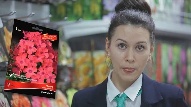 Пионы, лилии, гладиолусы, георгины! Луковичные и травянистые многолетники. Новинки сезона 2020.