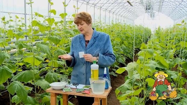 Виды семян. Предпосевная обработка.