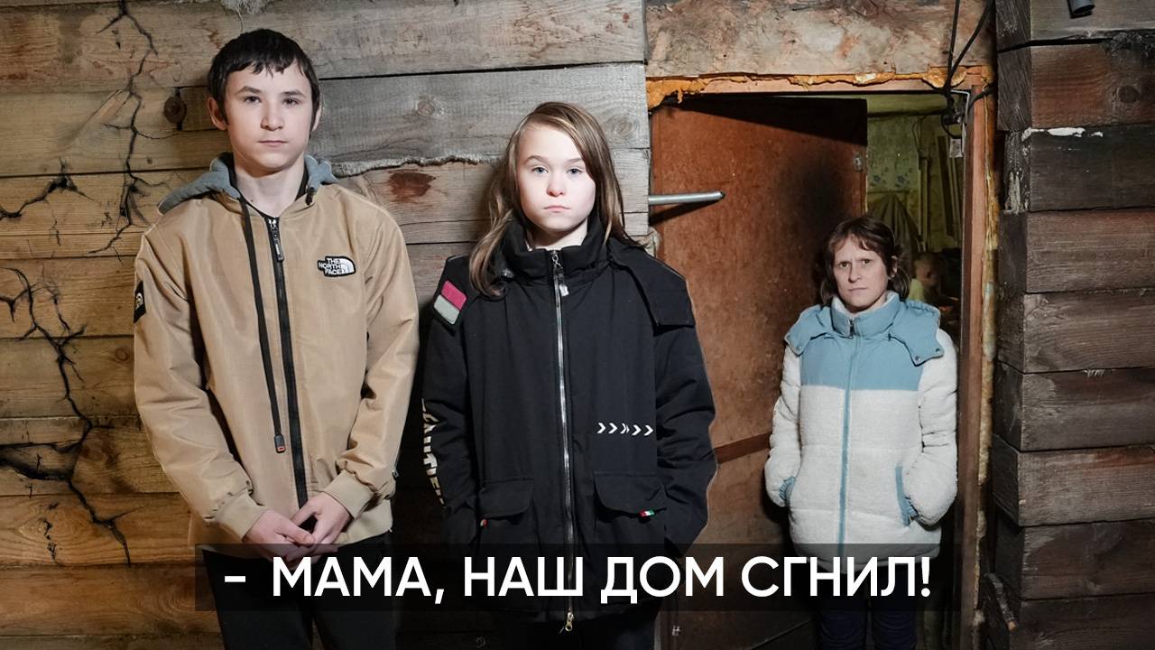 ВЫЖИВАЮТ В ГНИЛОМ ДОМЕ ВСЕМЕРОМ. Но скоро мы подарим им новый!