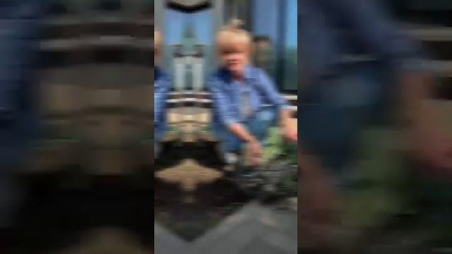 Что делать с луковичными после цветения.