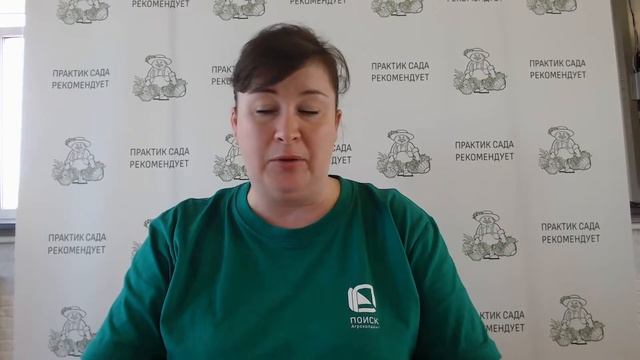 Выращивание редиса. Развеиваем мифы.