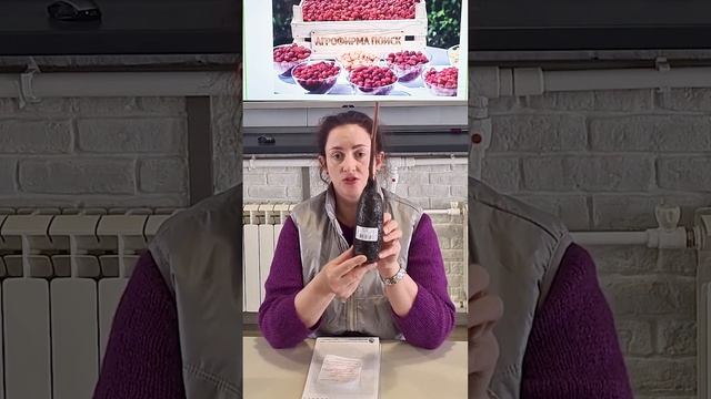 Как выбрать саженцы малины. Когда и где купить лучшие саженцы малины.