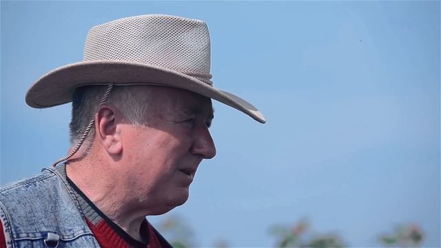 Секреты выращивания ремонтантной малины. Как выбрать сорта малины. Обрезка малины весной.