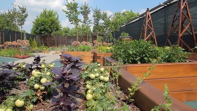 Огород на подоконнике. Семена овощей и трав для выращивания на балконе и подоконнике.