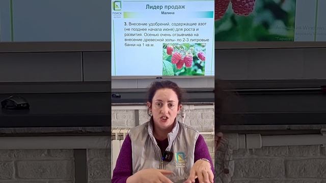 Чем подкормить малину. Подкормки, чтобы малины было много.