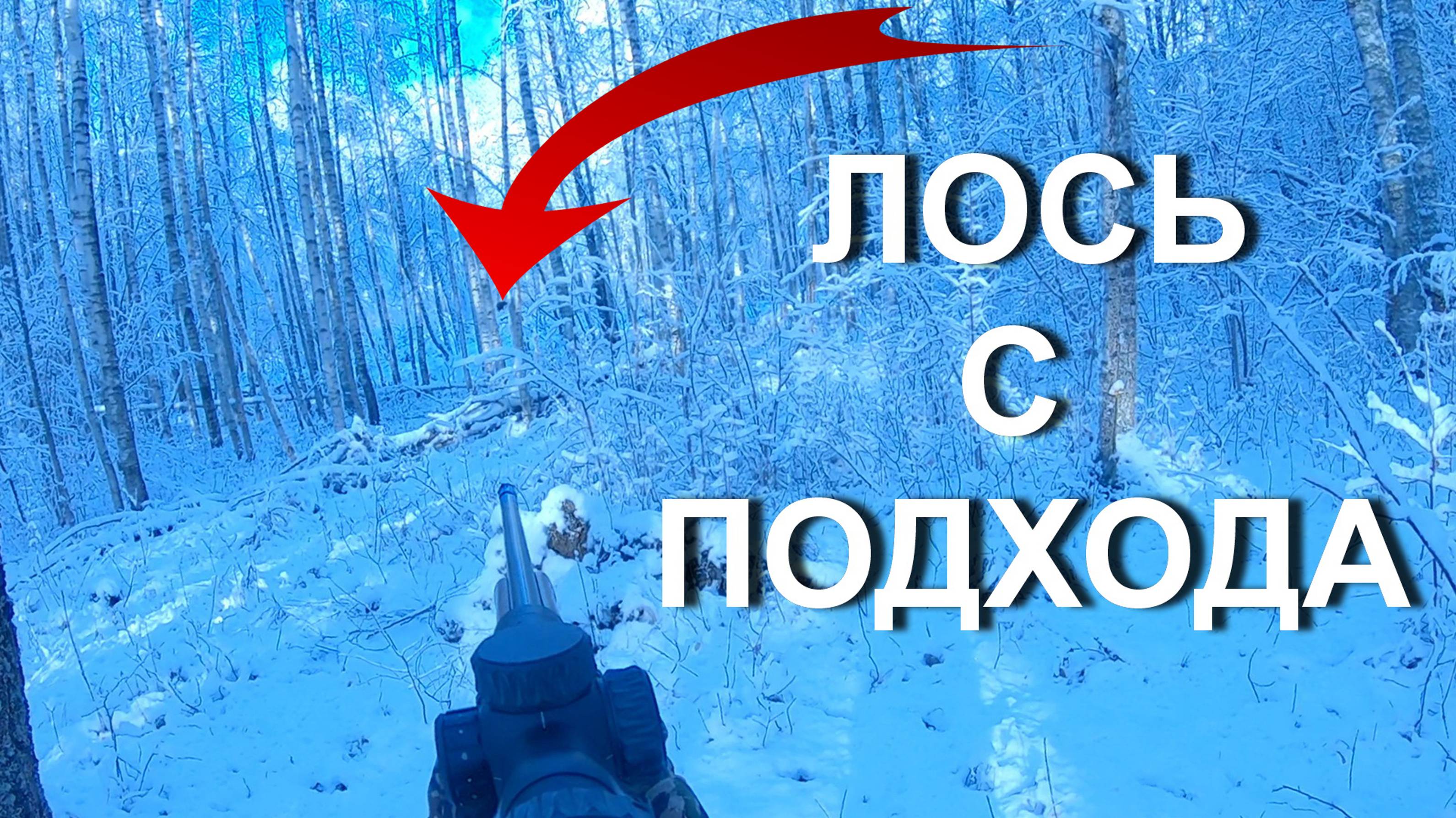 Охота НА ЛОСЯ с подхода, с собаками ...