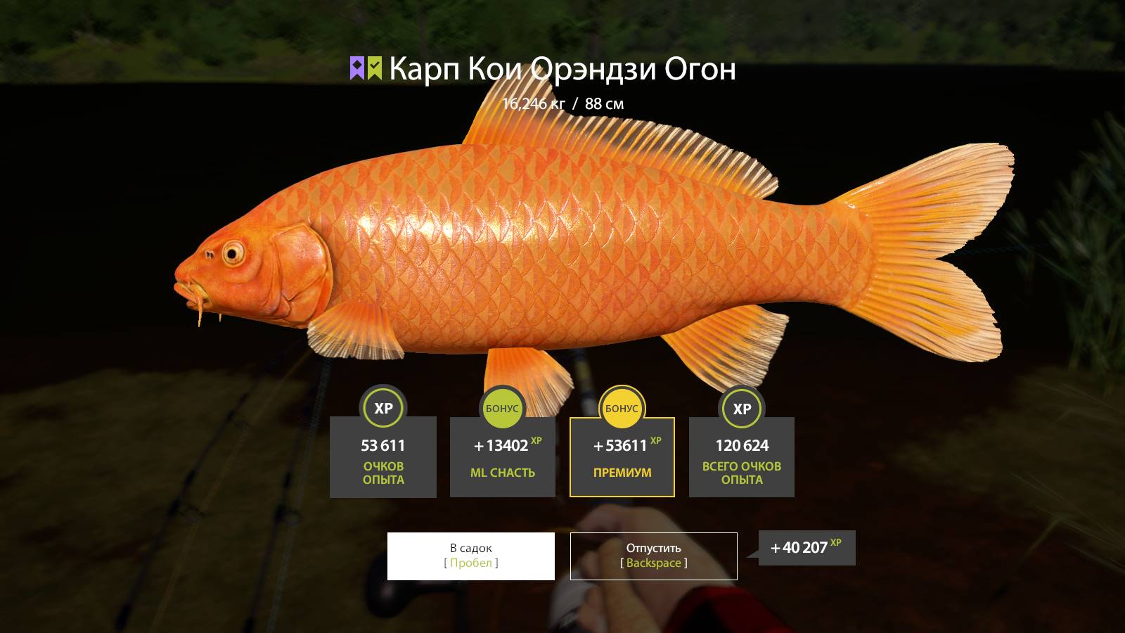 2024-11-09 15-23-03 Русская рыбалка 4 оз. Медное