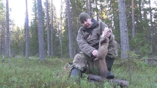 Охота на куницу капканами. Есть результат.