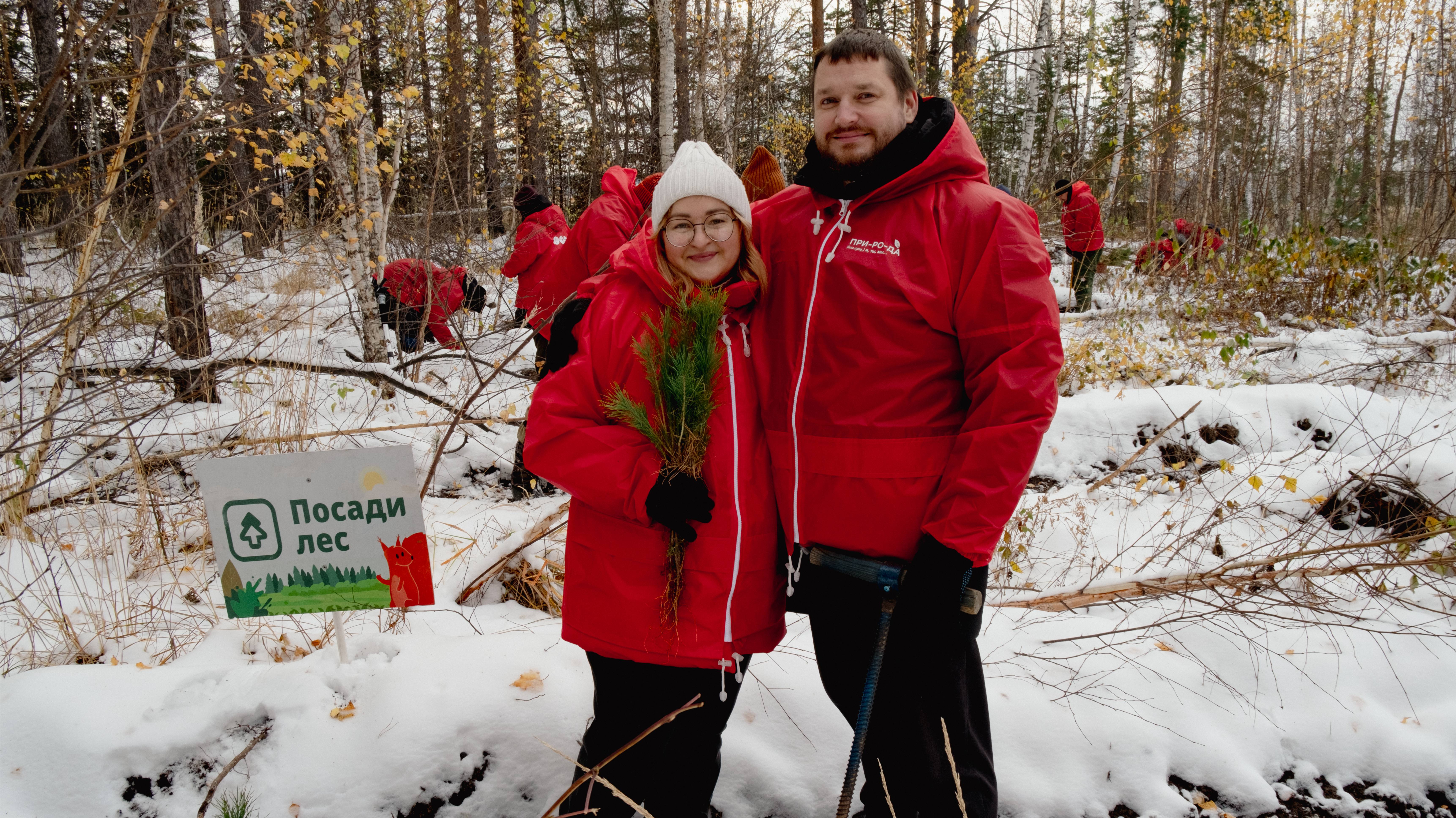 Посадка леса в Свердловской области 12.10.2024 года