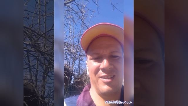 123. 5.53. W. ФОТО-НАГЛОСТЬ. ФОТО. FOTO. PROPHET. SHCHERBAKOV. ЩЕРБАКОВ АРТЕМ.