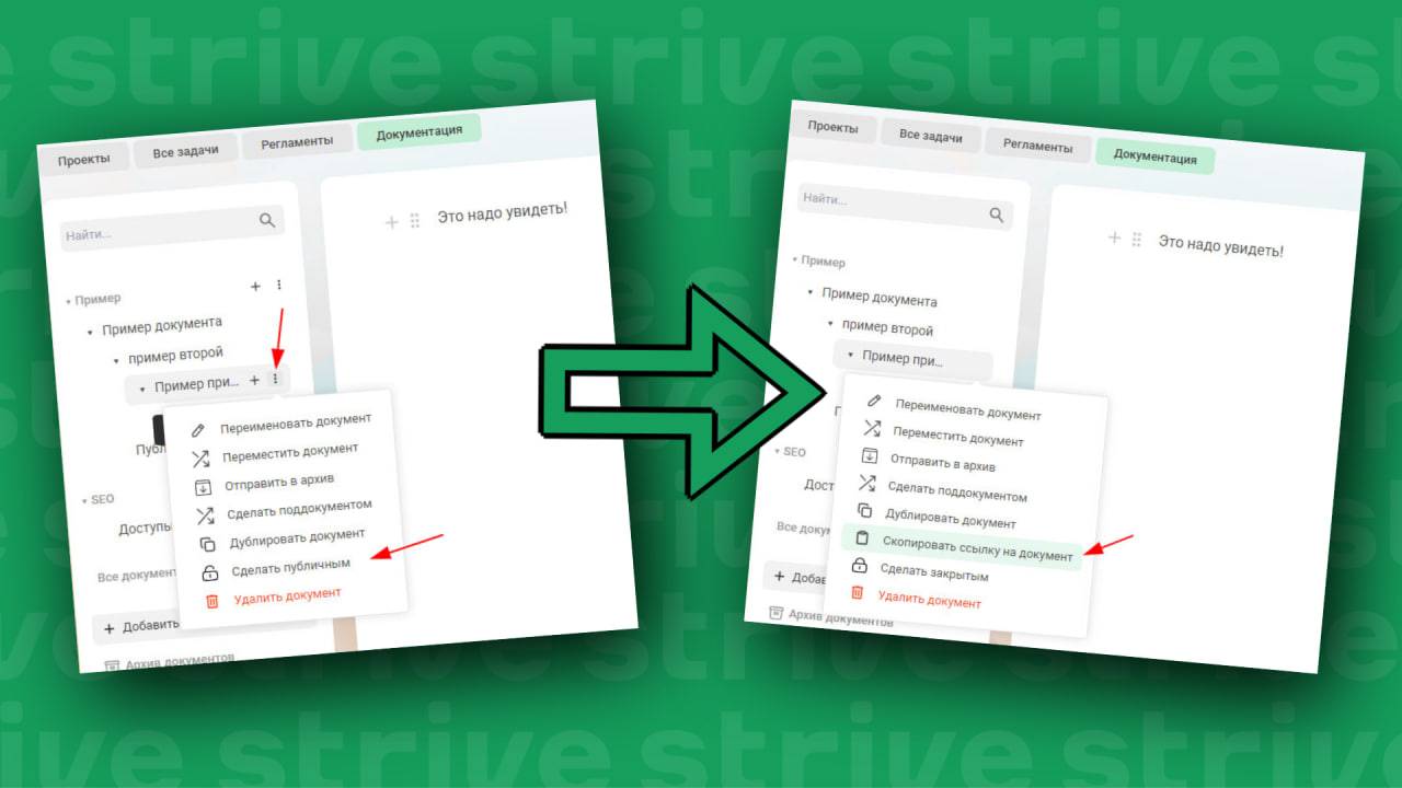 Как сделать документ публичным в Strive?