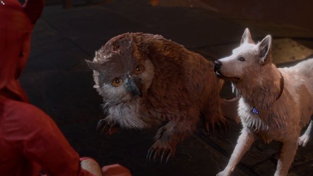 Слишком много "мимими" :)