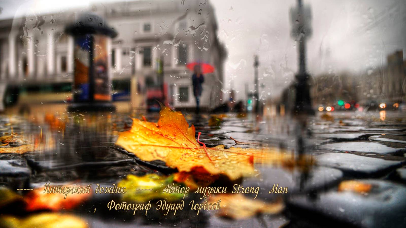 Питерский дождик *   Фотограф Эдуард Гордеев