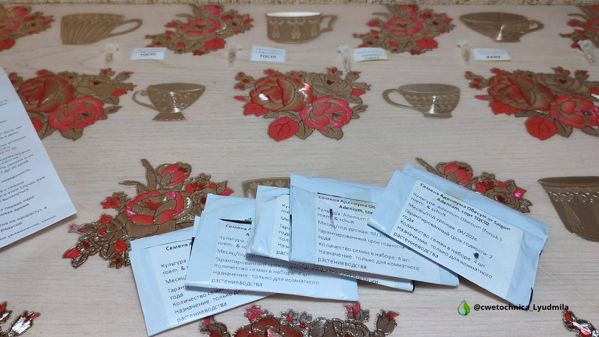 Посев семян адениумов🌱