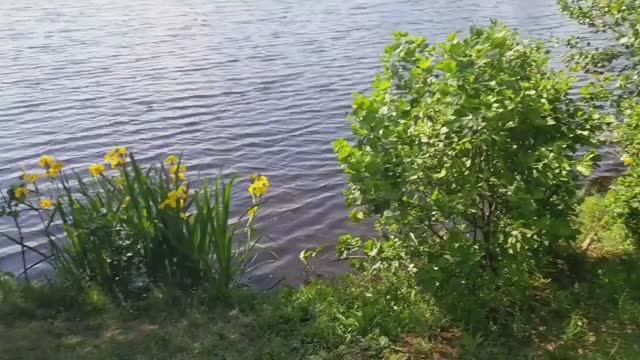 Это оказалось совсем другое озеро. Пешком в Введенскую Островную пустынь.часть 2-я.