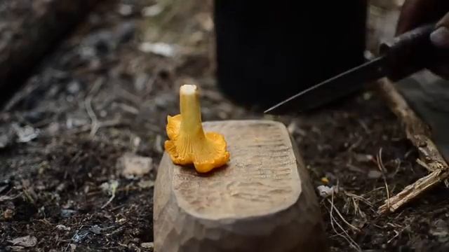 4 days bushcraft trip - canvas tarp, fatwood, mushrooms, wild berries, carving eating spoon etc. (1)
