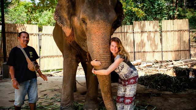 Ферма слонов Kokchang Safari на Пхукете в Таиланде. Знакомство с умным слоном – восторг и умиление