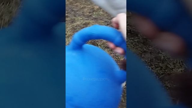 Фаир знакомится с мячом