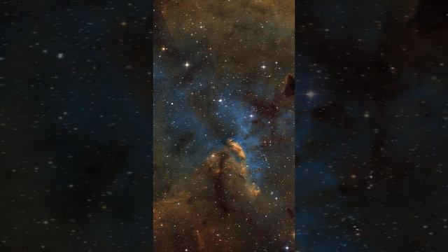 Хроники Звёздного Странника