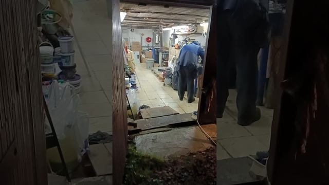 Дачные дела 💪👊🏡